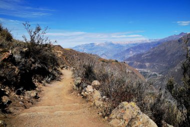 Aksörleri tespit etmek mümkün olan izleme noktasına giden trekking yolu. Fotoğraf Colca Canyon, Peru'da çek