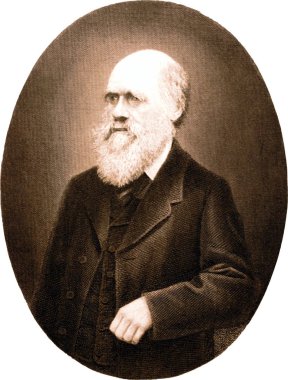 Copper engraving of Charles Darwin. The illustration is from 4th edition German translation of 