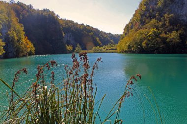 Sessizlik Plitvice Gölleri Milli Parkı Hırvatistan.