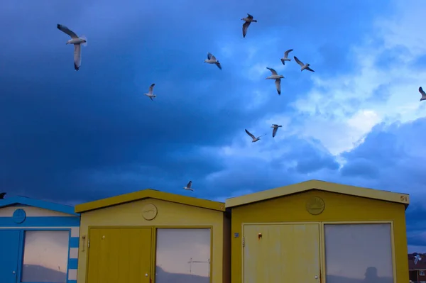 Célèbres Cabanes Plage Colorées Seaford Avec Mouettes Dans Ciel Orageux — Photo