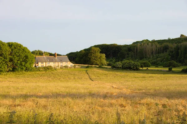 Countryside in the South Downs, East Sussex, UK