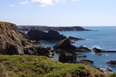 Martin 's Haven 'da kıyı şeridi. Pembrokeshire, Cornwall, Ingiltere.