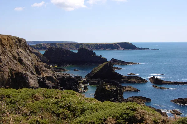 Martin 's Haven 'da kıyı şeridi. Pembrokeshire, Cornwall, Ingiltere.