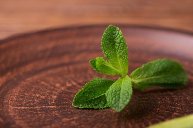  ahşap arka plan üzerinde koyu bir tabakta nane yaprakları