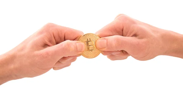 黄金比特币在一个人的手中 拔河的概念 为商业竞争 Digitall 在白色背景上孤立的新虚拟货币的符号 — 图库照片