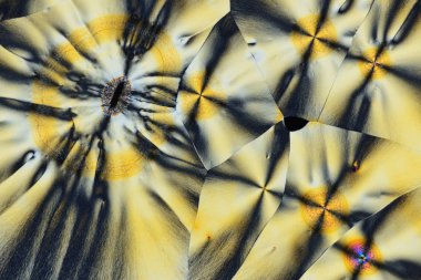 Polarize ışığın renkli mikro kristaller.