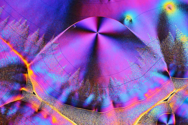 Polarize ışığın renkli mikro kristaller.