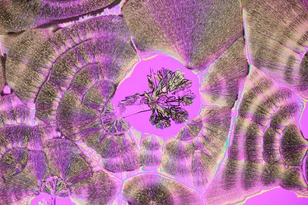 Красочные Микрокристаллы Поляризованном Свете — стоковое фото