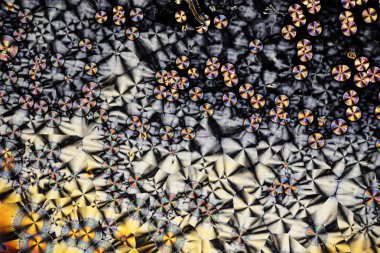 Polarize ışığın renkli mikro kristaller.