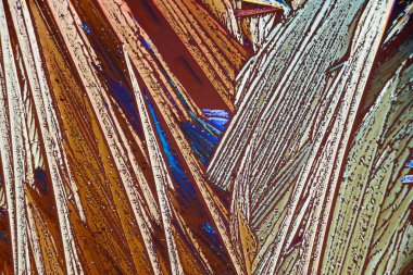 Polarize ışığın renkli mikro kristaller.