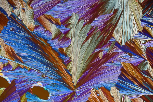 Colorful Micro Crystals Polarized Light — Stock Photo, Image