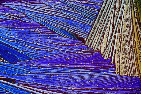 Kleurrijke Micro Kristallen Gepolariseerd Licht — Stockfoto