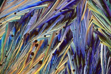 Fotoğraf mikroskop kükürt eritme büyüyen kristaller aracılığıyla. Polarize ışık teknolojisi.