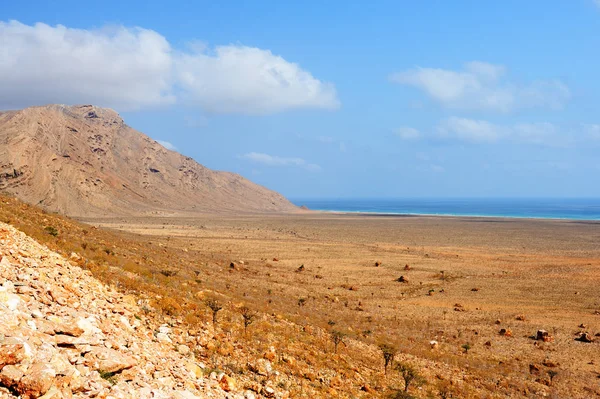 Живописный Пейзаж Острова Сокотра Йемен — стоковое фото