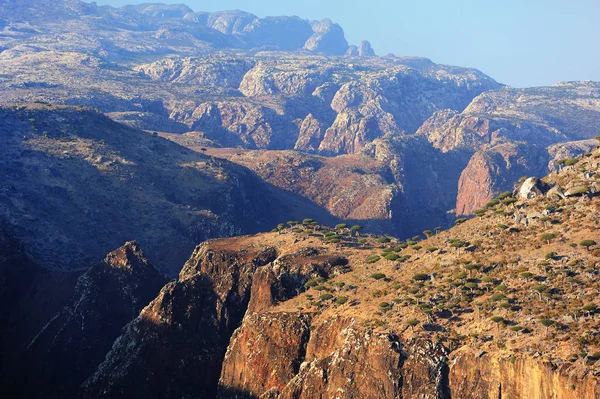 Náhorní Plošina Dixam Ostrově Socotra Jemen — Stock fotografie