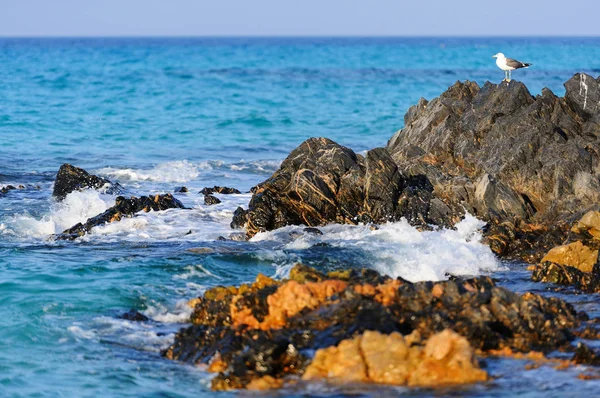 Rocce Costiere Dell Isola Socotra Nei Raggi Del Sole Tramonto — Foto Stock