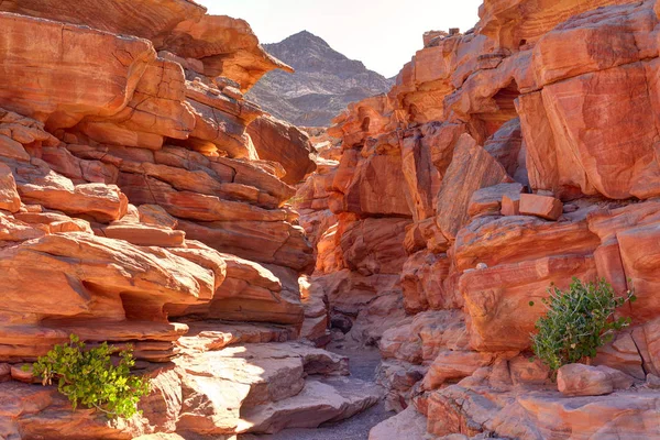 Desfiladeiro Colorido Deserto Sinai Egito — Fotografia de Stock