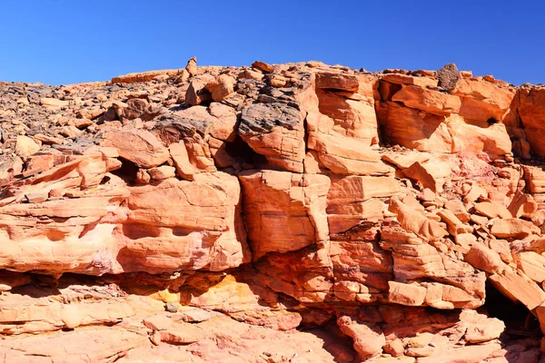 Kolorowy Kanion Pustyni Synaj Egipt — Zdjęcie stockowe