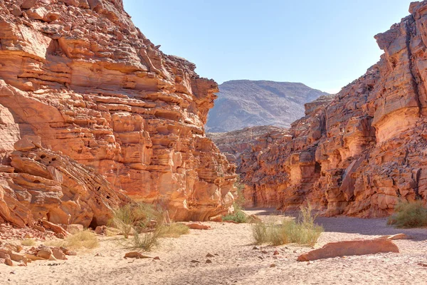 Canyon Coloré Dans Désert Sinaï Egypte — Photo