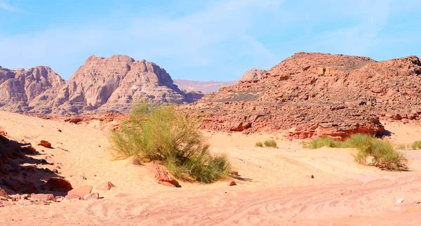 Bergen Woestijn Van Sinai Egypte — Stockfoto