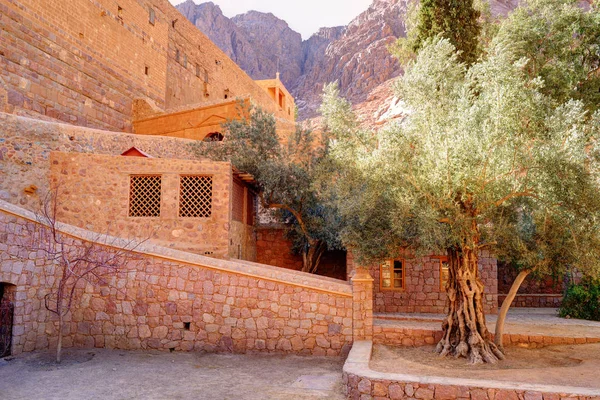 Saint Catherine Monastery Sinai Moumtains Egypt — стоковое фото