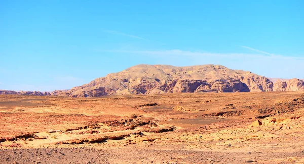 이집트에서 사막의 — 스톡 사진