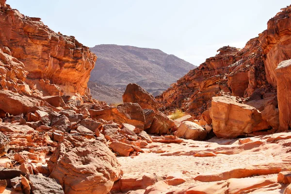 Canyon Coloré Dans Désert Sinaï Egypte — Photo