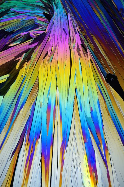 Photo Microscope Crystals Growing Melt Succinic Acid Polarized Light Technology — Stock Photo, Image