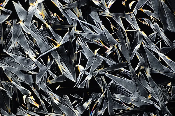 Foto Genom Ett Mikroskop Kristaller Som Vuxit Från Lösning Oxalsyra — Stockfoto