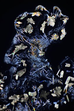 Süksinik asit alkol bir çözümden büyüyen kristallerinin mikroskop aracılığıyla fotoğraf. Polarize ışık teknolojisi.