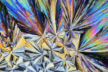 Polarize ışığın renkli mikro kristaller. Bir MICR aracılığıyla fotoğraf