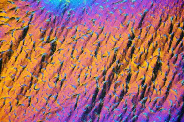 Polarize ışığın renkli mikro kristaller. Bir MICR aracılığıyla fotoğraf