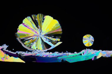 Polarize ışığın renkli mikro kristaller. Bir MICR aracılığıyla fotoğraf