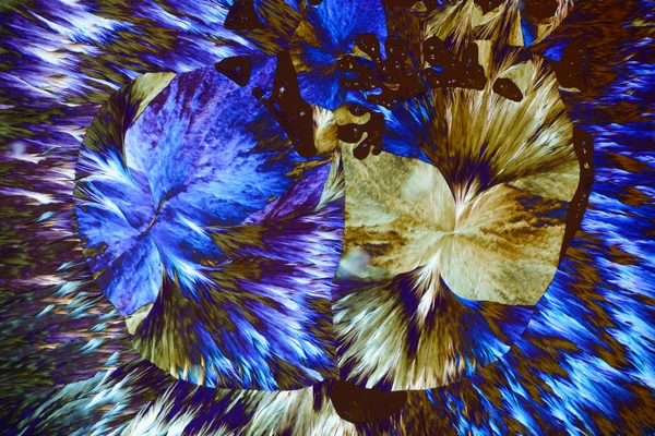 Colorful micro crystals in polarized light. Photo through a micr — Stock Photo, Image