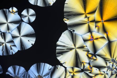 Polarize ışığın renkli mikro kristaller. Bir MICR aracılığıyla fotoğraf