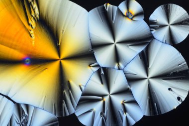 Polarize ışığın renkli mikro kristaller. Bir MICR aracılığıyla fotoğraf