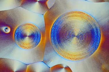 Polarize ışığın renkli mikro kristaller. Bir MICR aracılığıyla fotoğraf