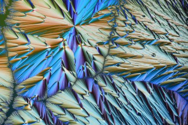 Polarize ışığın renkli mikro kristaller. Bir MICR aracılığıyla fotoğraf