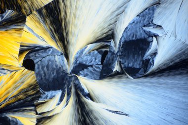 Polarize ışığın renkli mikro kristaller. Bir MICR aracılığıyla fotoğraf