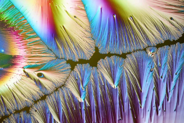 Micro cristais coloridos em luz polarizada. Foto através de um micr — Fotografia de Stock
