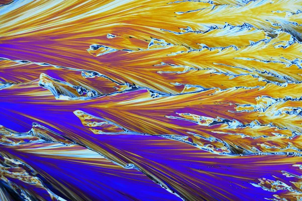 Colorful micro crystals in polarized light. Photo through a micr — Stock Photo, Image