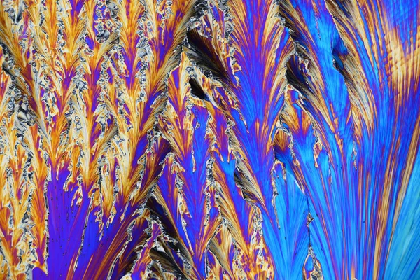 Colorful micro crystals in polarized light. Photo through a micr — Stock Photo, Image