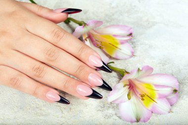El kadar yapay siyah Fransız manikürlü tırnaklar ve lily çiçek