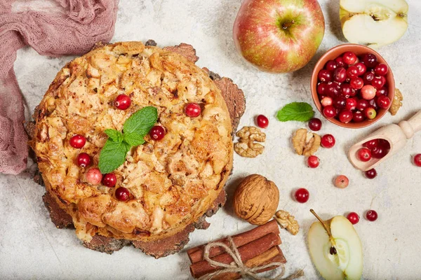 Νόστιμη Πίτα Μπισκότων Μήλα Καρύδια Και Cranberries Γλυκό Φθινόπωρο Επιδόρπιο — Φωτογραφία Αρχείου
