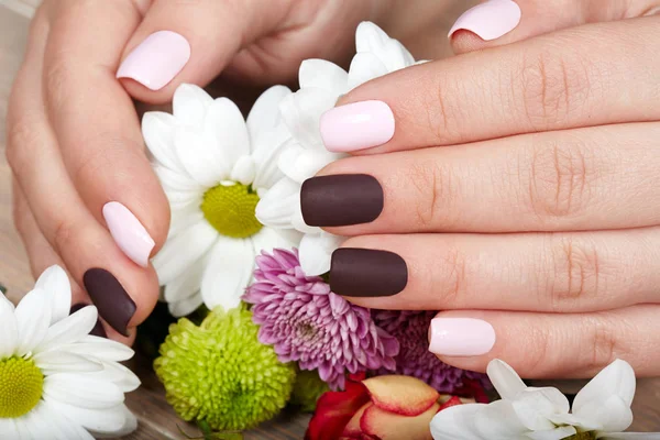 Hands Pink Purple Manicured Nails Bouquet Flowers — Stock Photo, Image