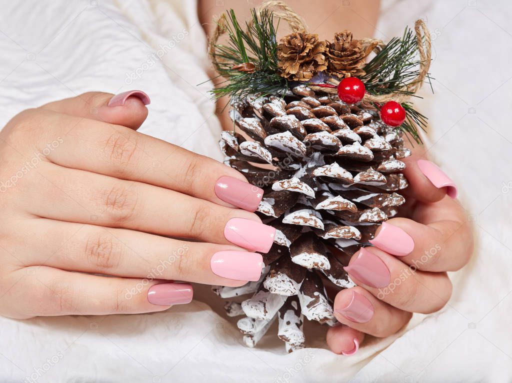 Hands with long artificial manicured nails colored with pink nail polish holding a pine Christmas decoration