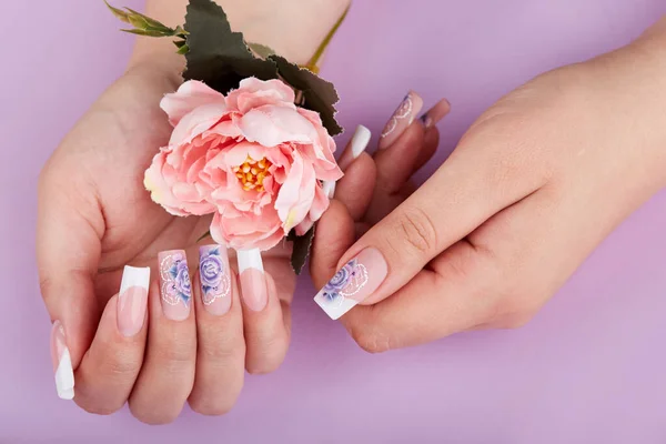 Mãos Com Longas Unhas Manicure Francês Artificial Segurando Rosa Rosa — Fotografia de Stock