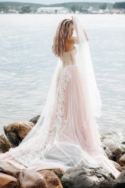 Denize bakan bir kayanın üzerinde, yumuşak pembe elbiseli genç bir güzellik. Seksi bir gelin ve saçları açık..
