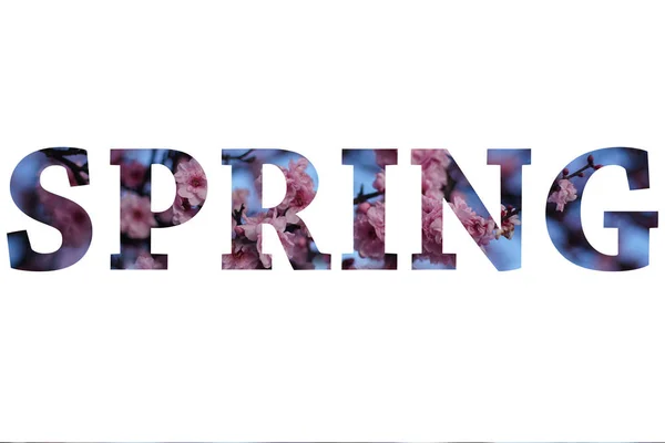Текст Spring Квітковим Прикрасою Сакури Білому Тлі — стокове фото