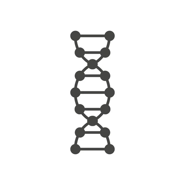 Signatura ADN hélice aislada sobre fondo blanco . — Vector de stock
